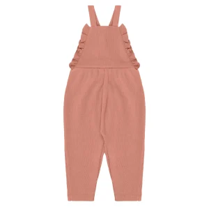 UAUA - overall with angle wings - rosas