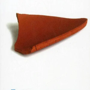 De Vraag - Waarom is er lijden? - Reinier Sonneveld