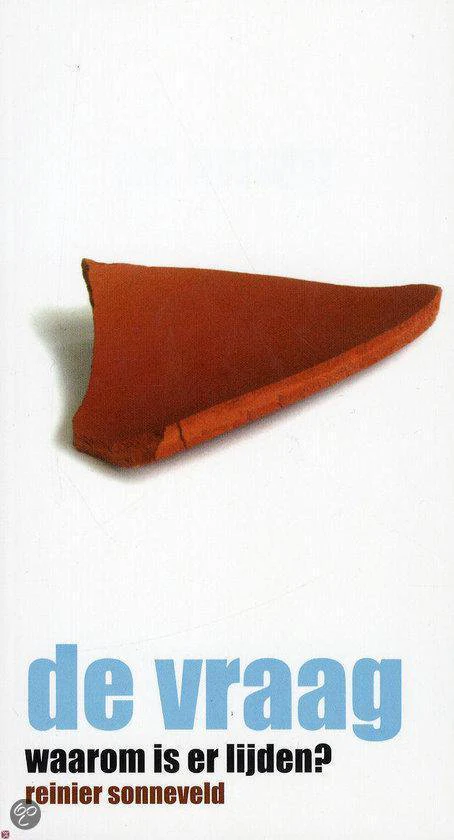 De Vraag - Waarom is er lijden? - Reinier Sonneveld - Afbeelding 2