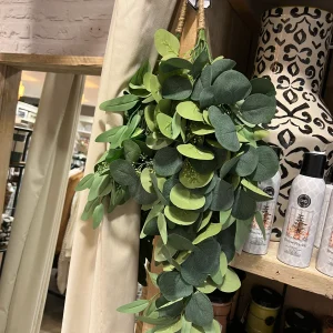 Toef - eucalyptus - groen