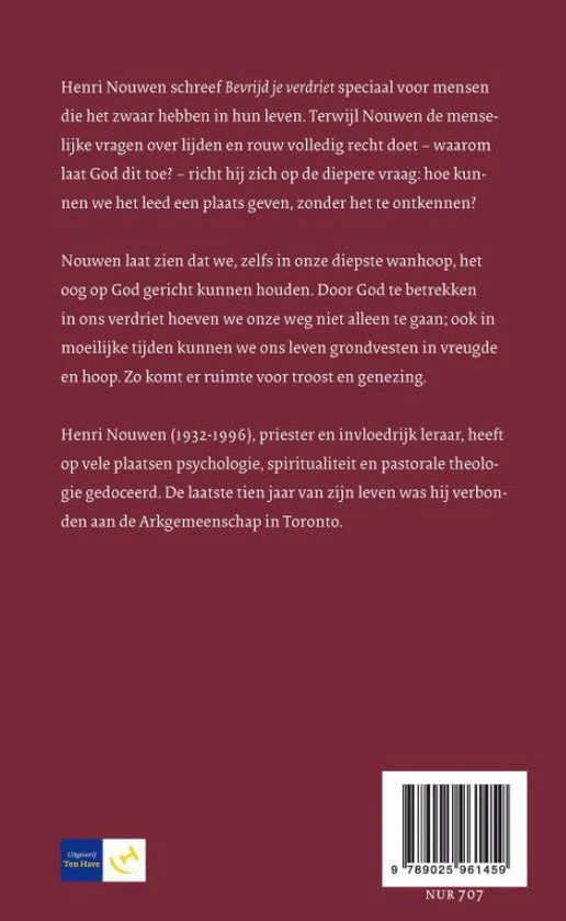 Bevrijd je verdriet - Henri Nouwen - Afbeelding 3