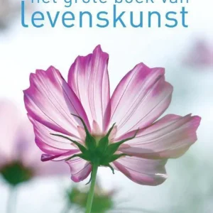 Het grote boek van levenskunst - Anselm Grün