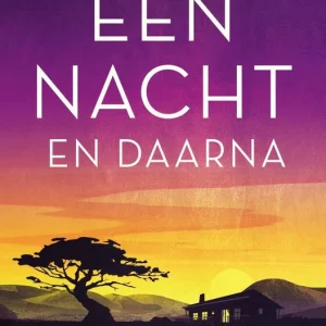 Een nacht en daarna - Hester Kruger