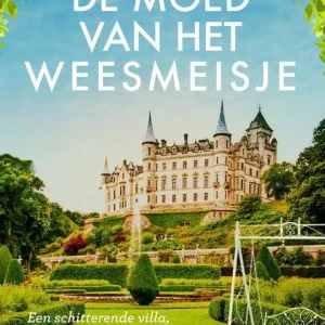 De moed van het weesmeisje - Anne Jacobs