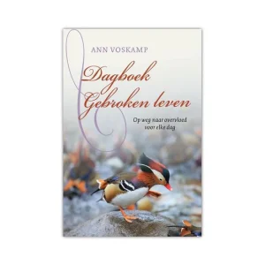 Dagboek Gebroken leven - Ann Voskamp