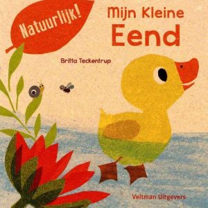 Mijn kleine eend