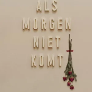 Als morgen niet komt - Willy de Hoop