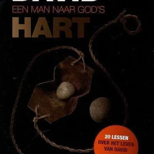 David een man naar Gods Hart - Henk Stoorvogel