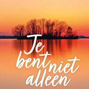 Je bent niet alleen - Max Lucado