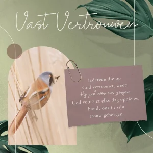 Kaart Sela Songs - 7903 - Vast vertrouwen