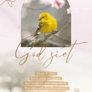 Kaart Sela Songs - 7950 - God ziet