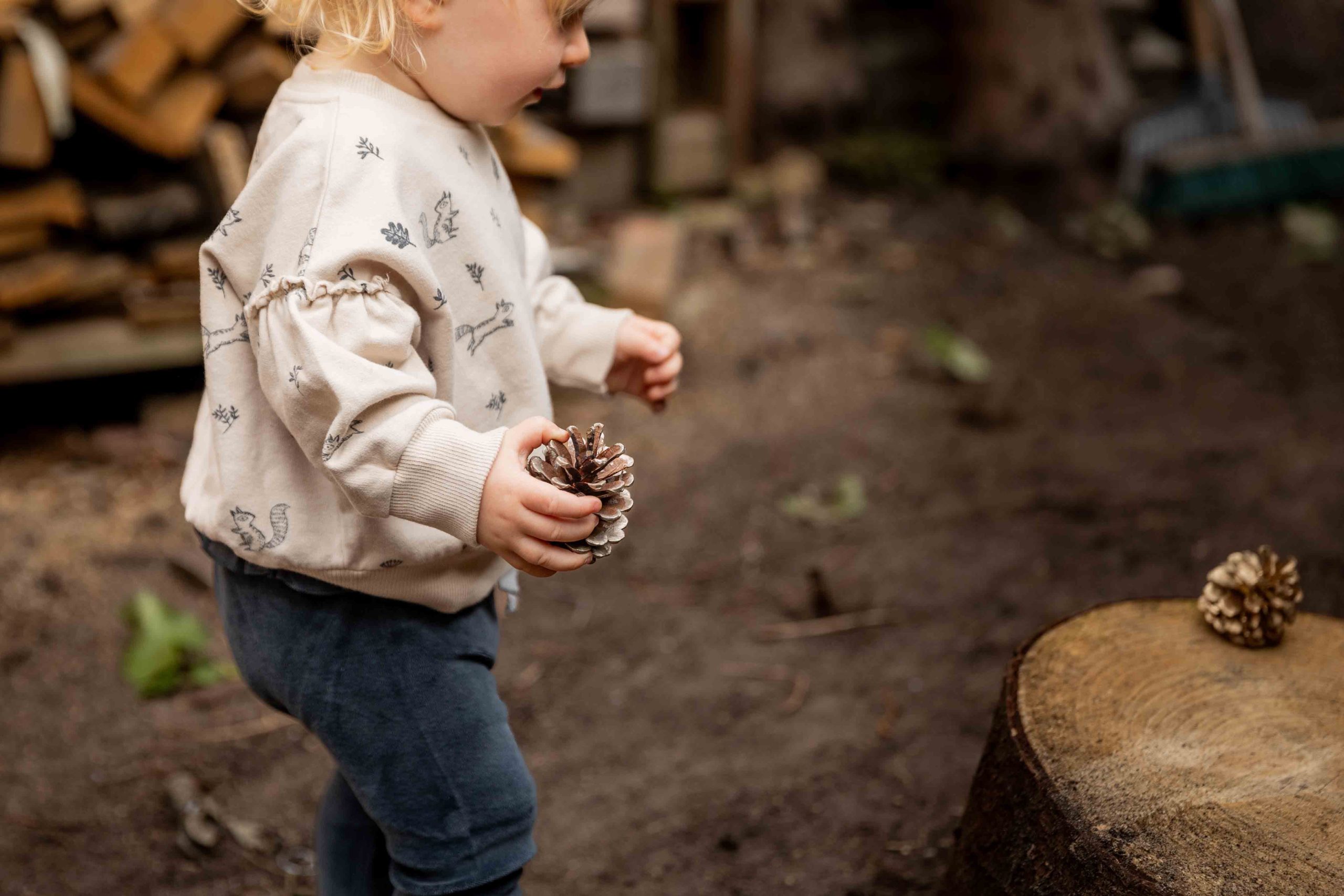 Dear Mini - sweater squirrels and flowers - Afbeelding 3