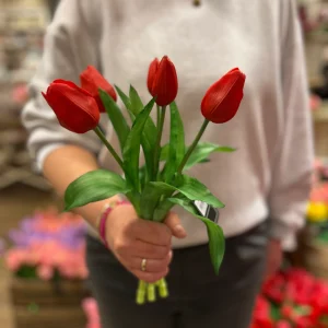 Tulpen Bos - Middel - Rood