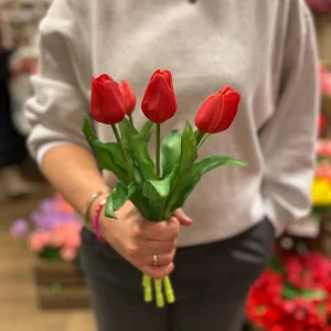 Tulpen Bos - Middel - Koraal