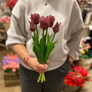 Papegaai Tulpen Bos - Lang - Paars