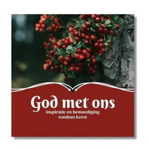 God met ons - Inspiratie en bemoedigingen rondom Kerst - Daniëlle Heerens