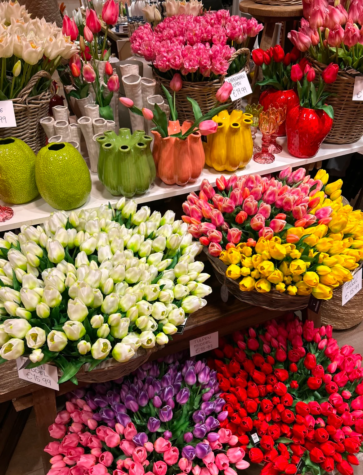 Papegaai Tulpen Bos - Lang - Paars - Afbeelding 4