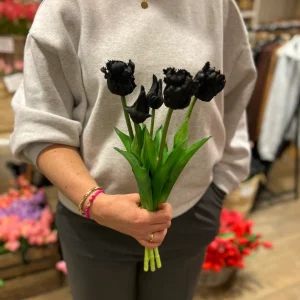 Papegaai Tulpen Bos - Lang - Zwart