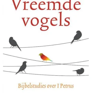 Vreemde Vogels - Stefan Paas