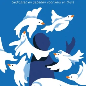 Op de vleugels van verwondering - Janneke Nijboer