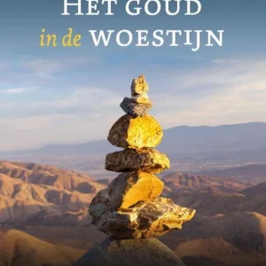 Het goud in de woestijn - Lize Roest