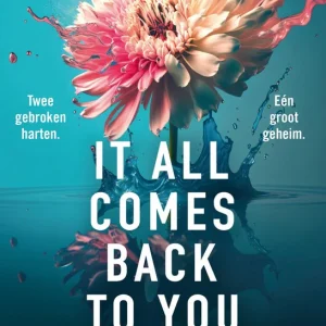 It all comes back to you - Melissa Wiesner
