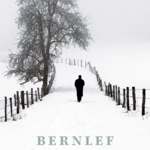 Hersenschimmen - Bernlef