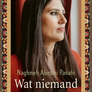 Wat niemand zag - Naghmeh Abedini Panahi