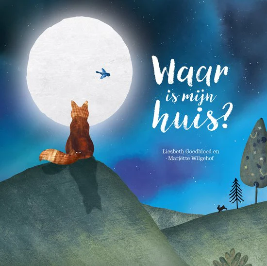 Waar is mijn huis? - Afbeelding 2