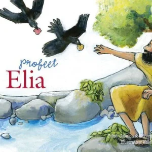 Profeet Elia - Kartonboek