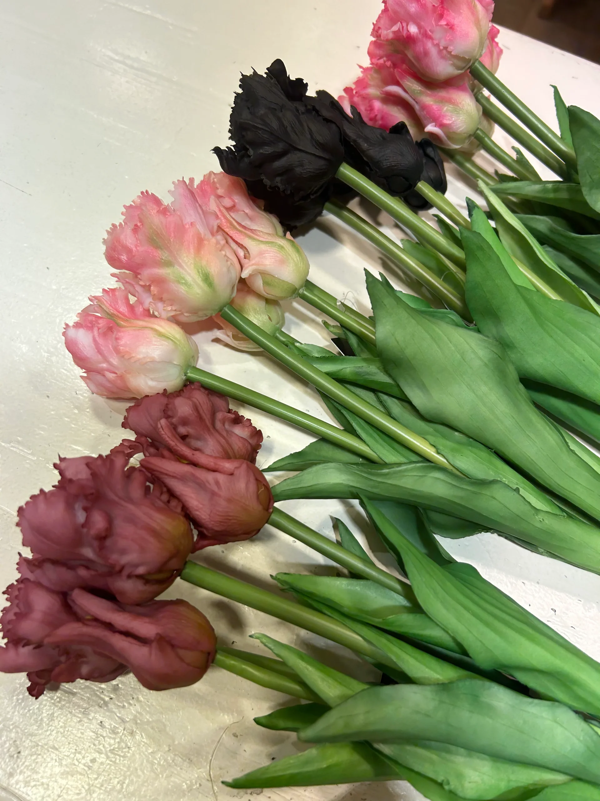 Papegaai Tulpen Bos - Lang - Paars - Afbeelding 3