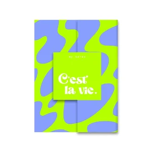 My notes - C’est la vie