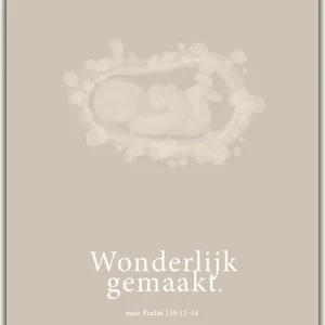 Kaart - Huis van Mijn - Wonderlijk gemaakt - 8504