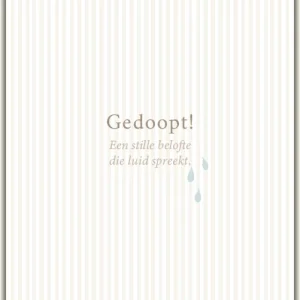 Kaart - Huis van Mijn - Gedoopt! - 8509