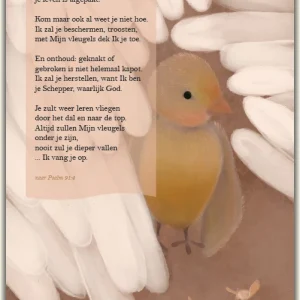 Kaart - Huis van Mijn - Voel je je Gebroken - 8517