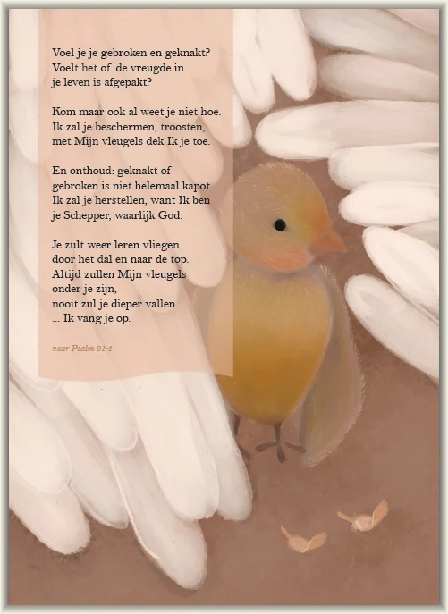 Kaart - Huis van Mijn - Voel je je Gebroken - 8517