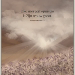 Kaart - Huis van Mijn - Elke morgen op opnieuw - 8523