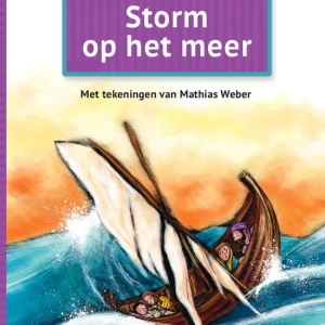 Storm op het meer - Willemijn de Weerd