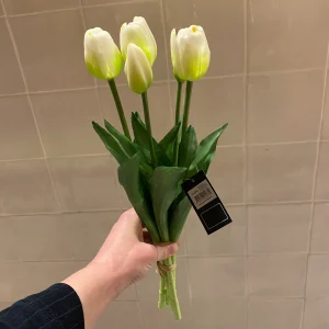 Tulpen Bos - Lang - Wit