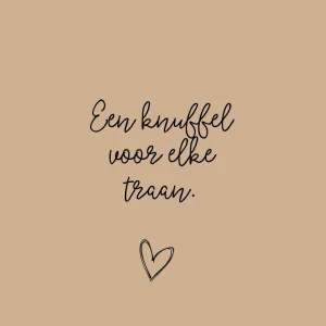 Een knuffel voor elke traan - 7246 - Studio LUV kaarten