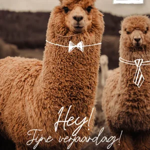 Studio LUV Kaarten - Hey! fijne verjaardag