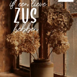 Studio LUV Kaarten - Geluk is een lieve zus hebben
