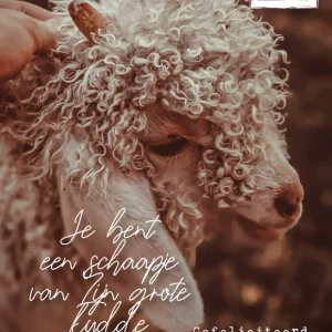 Studio LUV Kaarten - Je bent een schaapje van zijn grote kudde