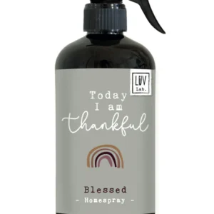 8x LUV Lab. Luxe Homespray - Blessed - Per doos