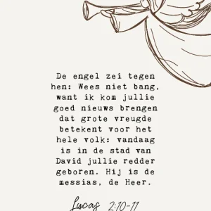 Studio LUV Kerstkaart - Lucas 2:10-11