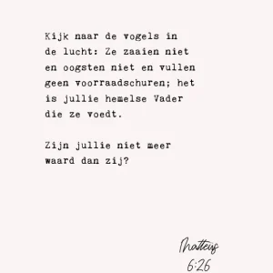 Studio LUV Kaart - Kijk naar de vogels - Matteus 6 : 26