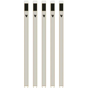 Zusss 5 Potloden in een doosje