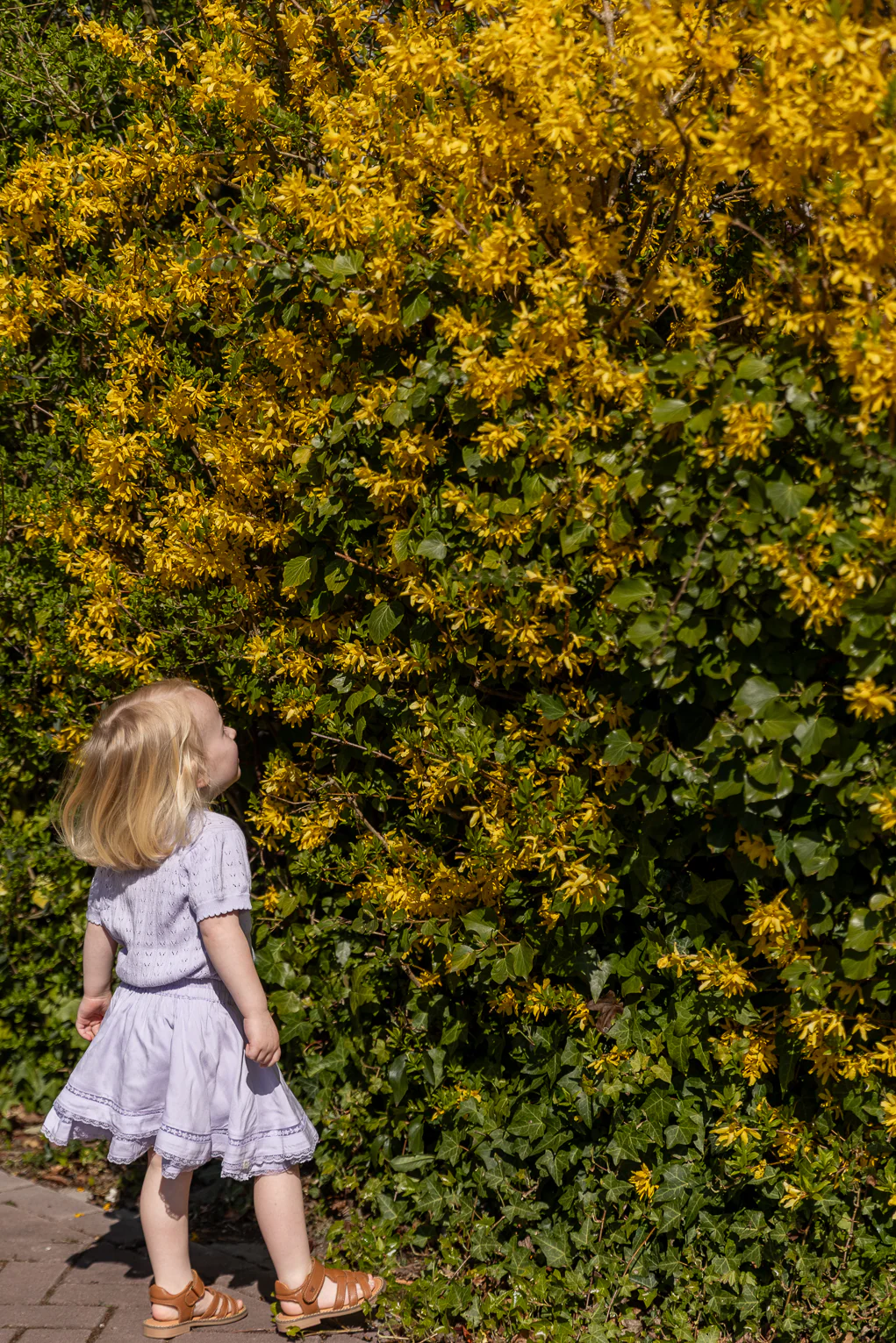 LRDM petits - skirt Juliette - lavender - Afbeelding 8