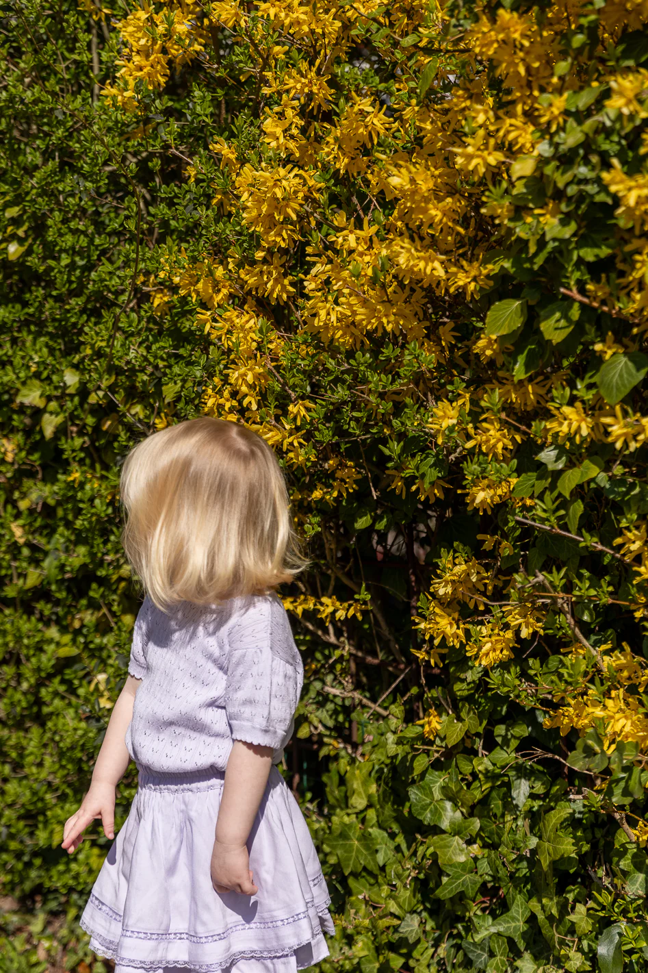 Copenhagen Colors - knitted pointelle top - lavender - Afbeelding 6