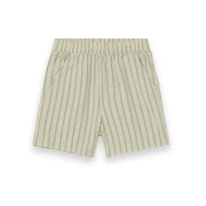 Emerald stripe seersucker shorts